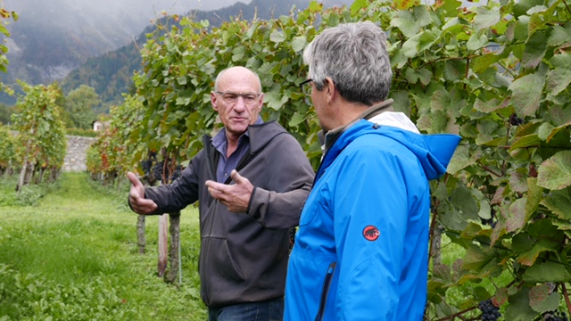 «Wimmla» mit Jon Domenic Parolini